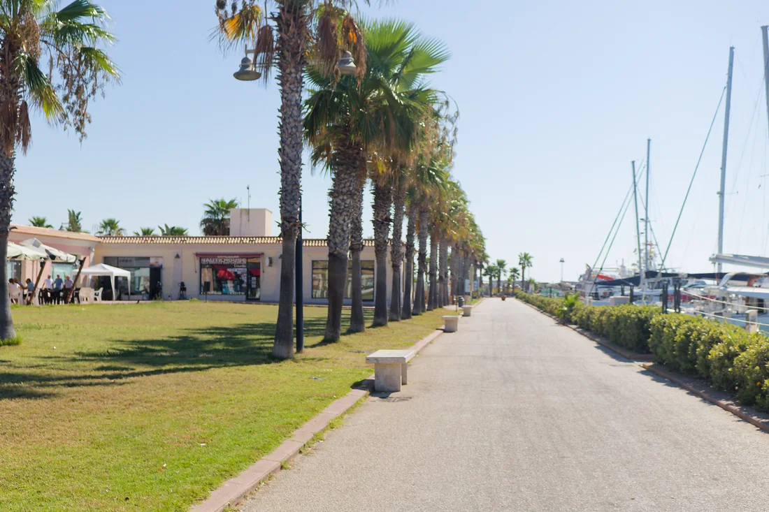 Il viale del porto: la fila di palme, le panchine di pietra e le barche ormeggiate